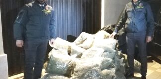 Sequestrati 110 kg di marijuana: in arresto un corriere 38enne di Barletta