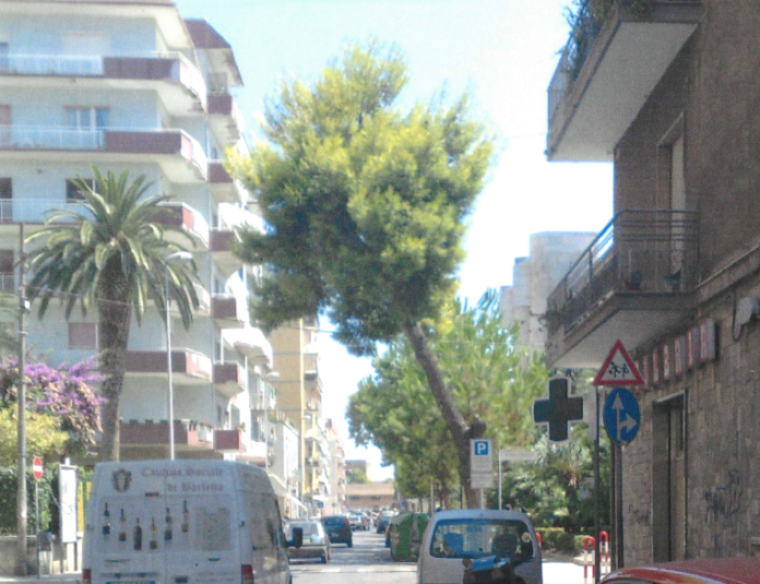 foto 2009