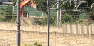 «Espianto alberi in via Andria, quanto è saggio farla in questo modo?»