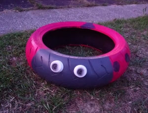 67296468_2520416281519663_3480579838127898624_n