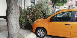 Vento e pioggia, albero cade su un’auto in piazza Conteduca