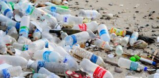 Bottiglie di plastica riciclate in maglietta, oggi la consegna in Sala Giunta