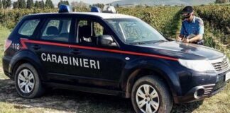 Intermediazione abusiva per un’attività agricola, denunciato un 34enne