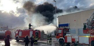 In fiamme l’azienda Dalena, fumo fitto nella zona industriale Sud