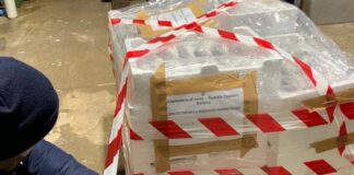 Conclusa l’operazione Mercato Globale: sanzioni e sequestri di prodotti ittici