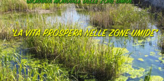 Giornata mondiale delle zone umide 2020, Barletta risponde presente
