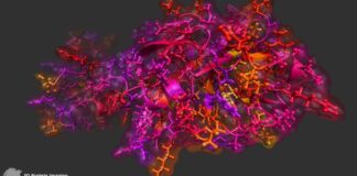 Coronavirus, attivi i protocolli nella Asl Bt