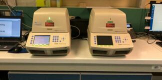 Coronavirus, la Regione ai laboratori: “Esecuzione dei tamponi 7 giorni su 7”