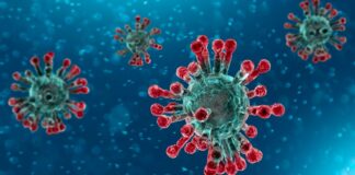 Coronavirus, Bat senza nuovi casi da cinque settimane: in Puglia cinque giorni senza nuovi contagi