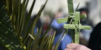 Don Rino: «La domenica delle Palme sia celebrata in famiglia, chiesa domestica»