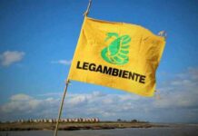 Censimento del verde pubblico, il circolo Legambiente chiede chiarimenti sul tema