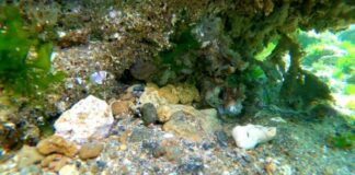 Ripartire da Ariscianne per la Settimana del Pianeta Terra