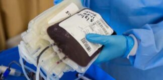 La Puglia inizia la sperimentazione della terapia al plasma contro il Covid-19