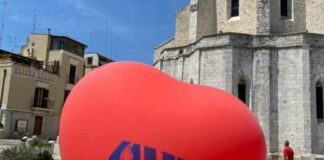 AVIS Barletta “R. Lattanzio” OdV, da domani al via con la donazione straordinaria per la Giornata Mondiale del Donatore di Sangue