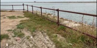 Pestaggio sul Lungomare, Cannito: «Violenza inaudita. Il Comune si costituirà parte civile»