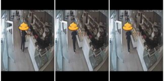 Ladri senza vergogna: rubato salvadanaio per la solidarietà in un bar di Barletta