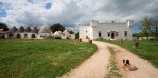 Fase 3, Coldiretti: «Agriturismo escluso da politiche regionali, crac da 150 mln di euro»