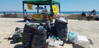 Pulizia dei fondali, Legambiente Barletta: «Trovato un frigorifero e centinaia di cicche»