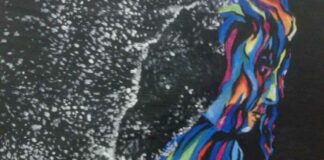 Chiarazzo, la pittrice delle emozioni espone al Circolo “Le Ture” Bolla Umana