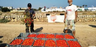 Ambulatorio Popolare di Barletta: «Con la Salsa Popolare vogliamo creare un’economia solidale»