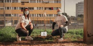 Donati alberi di melograno alle scuole di Barletta: Pronti a sbocciare in primavera”