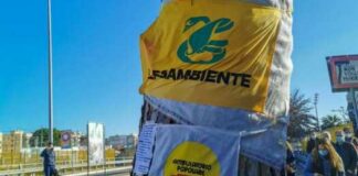 Legambiente Barletta: «Zero risorse per salvaguardia ambiente e verde urbano»