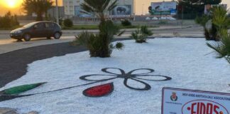 Rotonda in affido in zona ospedale, il ringraziamento della Fidas Barletta