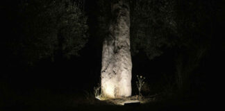 “En plein air”, l’installazione che avvolge il menhir di Canne a cura del Laboratorio di immaginazione urbana