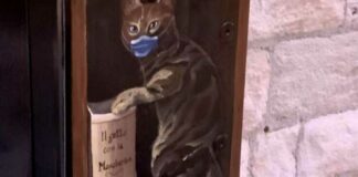 Dal gatto con gli stivali al gatto con la mascherina: l’ultimo lavoro di Borgiac