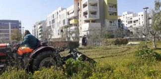 Attività di manutenzione ordinaria e straordinaria al Parco dell’Umanità
