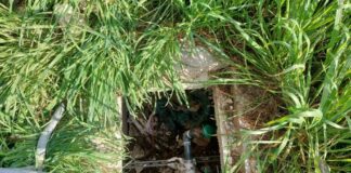 Ancora incuria al Parco dell’Umanità: i cittadini segnalano la presenza di un tombino aperto