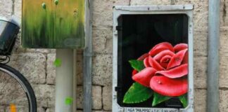 Una rosa davanti alla Cattedrale in onore della Madonna: la nuova opera di Borgiac