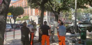 Corsi di formazione nel settore dell’arboricoltura, un successo organizzativo