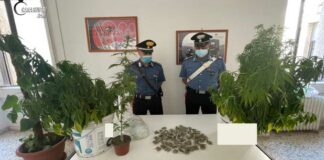Ai domiciliari ma con stupefacenti in casa: arrestato 22enne di Barletta