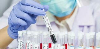 Covid, oltre 2500 gli attualmente positivi in Puglia: oggi 265 nuovi casi di contagio