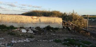 Coalizione civica: «Si intervenga per la bonifica di zona Belvedere»