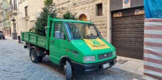 Gli alberi di Natale di via Nazareth ripiantati da Legambiente