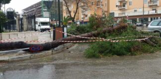 Maltempo a Barletta, chiusi cimitero, villa Bonelli e giardini del Castello