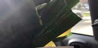 Speaker del Barletta offesa allo stadio “Poli”, la dirigenza del Martina si scusa e invia un mazzo di fiori