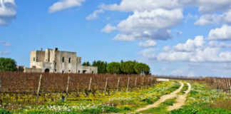 Pasqua, si torna a viaggiare in Puglia: tutto esaurito negli agriturismi