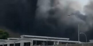 Incendio all’ex mattatoio comunale, disposti i divieti di raccolta e consumo di prodotti agricoli