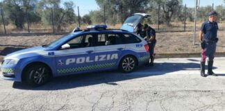 Tir contromano sulla carreggiata sud della A14: ennesimo pericolo sventato dalla polizia stradale della Bat