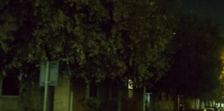 Buio in piazza F. II di Svevia e via Libertà, facciamo luce sotto gli alberi