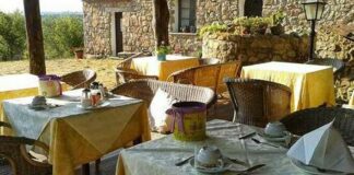 Degustazioni, la Puglia regina nazionale