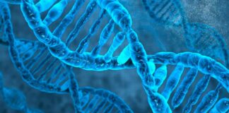 Genetica medica, 9° Congresso al Castello di Barletta organizzato dall’A.Ma.R.A.M.