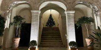 Centenario dalla costituzione dell’Albo degli Architetti: nella BAT due mesi di eventi per celebrarlo