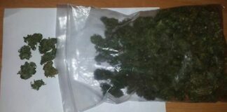 La Polizia trova 100 grammi di marijuana nel giardino di un istituto scolastico