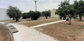 Orto botanico di Barletta, Cannito:«Siamo alla svolta». Pronto per la caratterizzazione