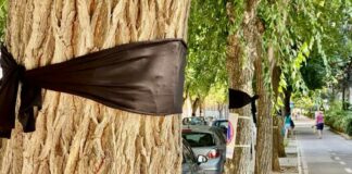 Alberi a lutto in Via Vitrani, flash mob del Movimento Amico e i residenti del quartiere barlettano