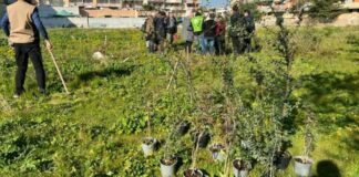 Un bando della Regione Puglia per accrescere le aree verdi urbane